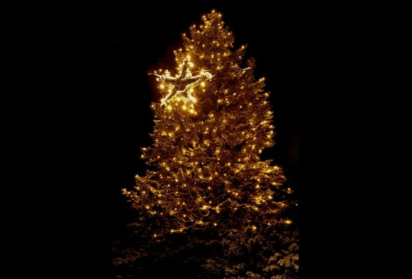 Kerstboom op doek lichtjes LEDCANVAS.NL